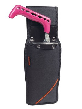 Holster
