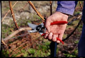 FELCO 2 Gartenschere Hochleistung - Klassisches Modell